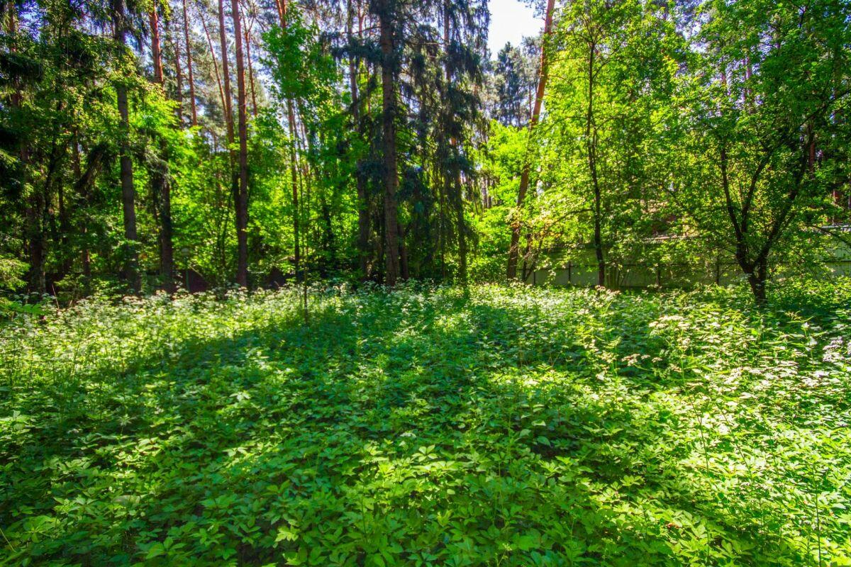 Участок 37.63 сот. в охраняемом поселке