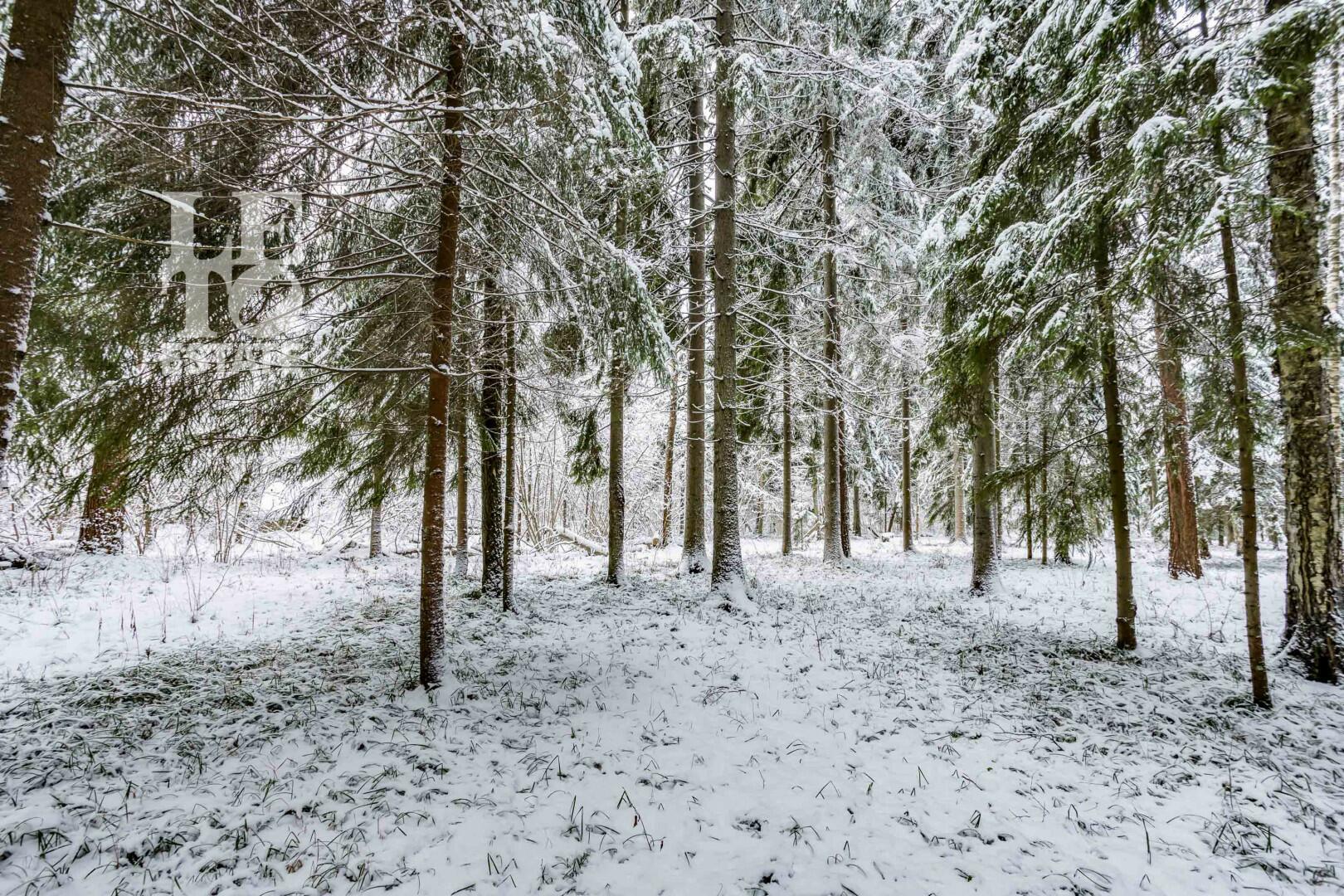 Участок 50 сот. в охраняемом поселке