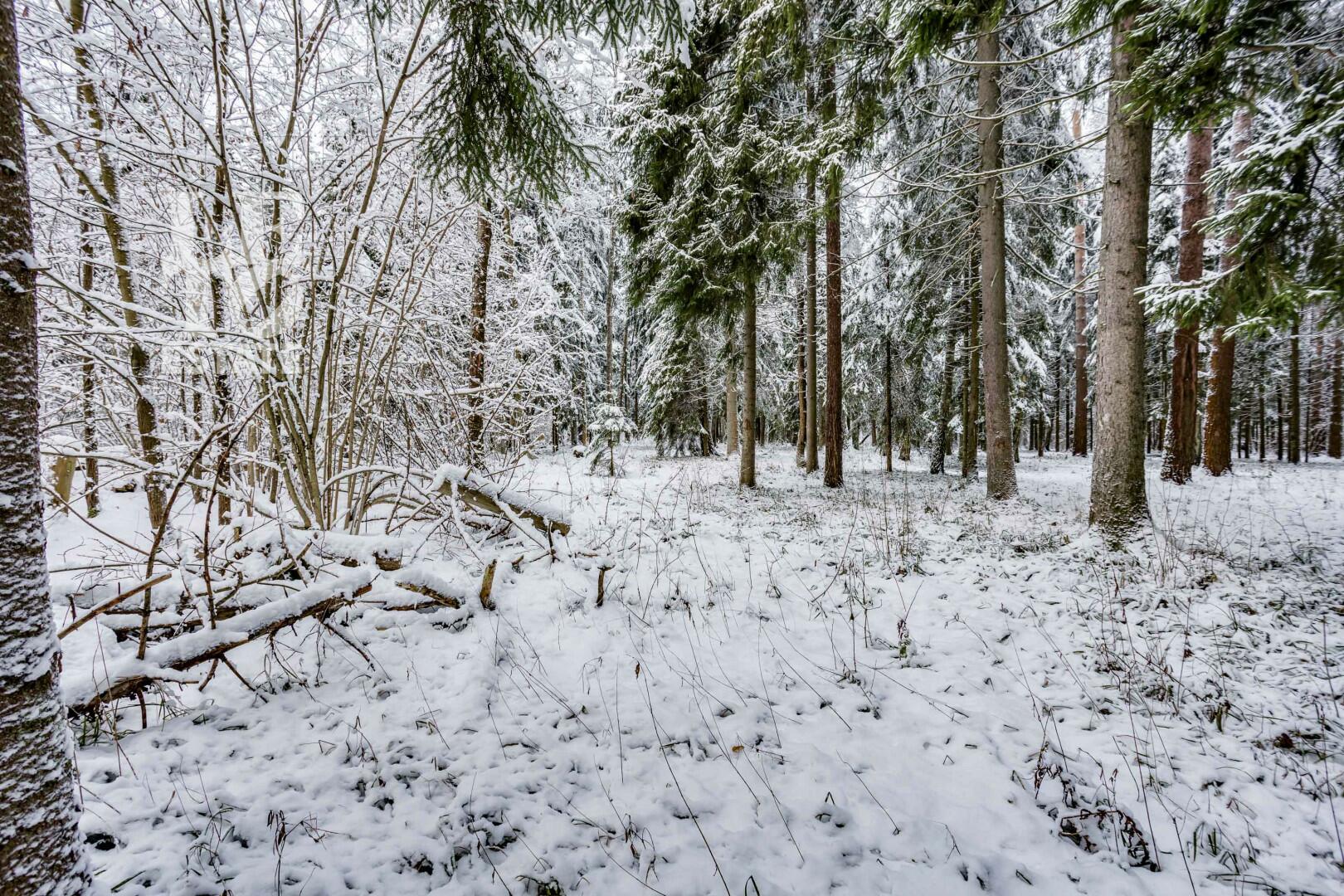 Участок 50 сот. в охраняемом поселке