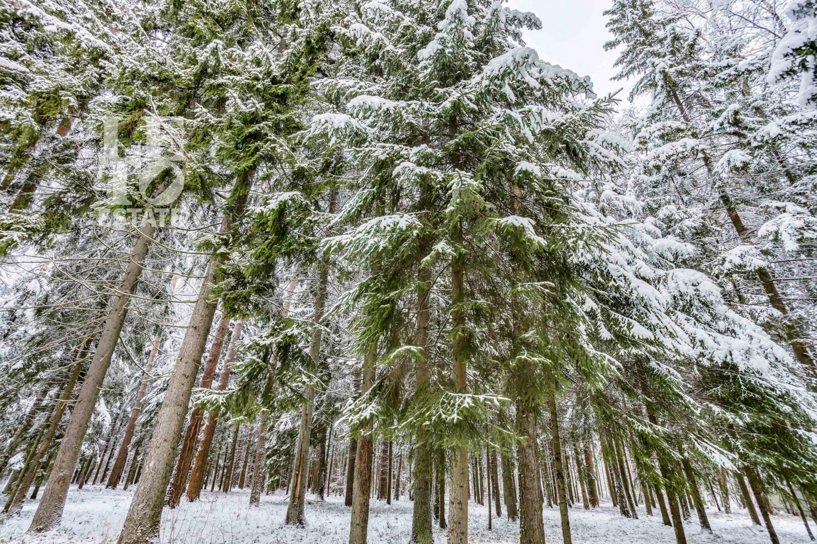 Участок 50 сот. в охраняемом поселке