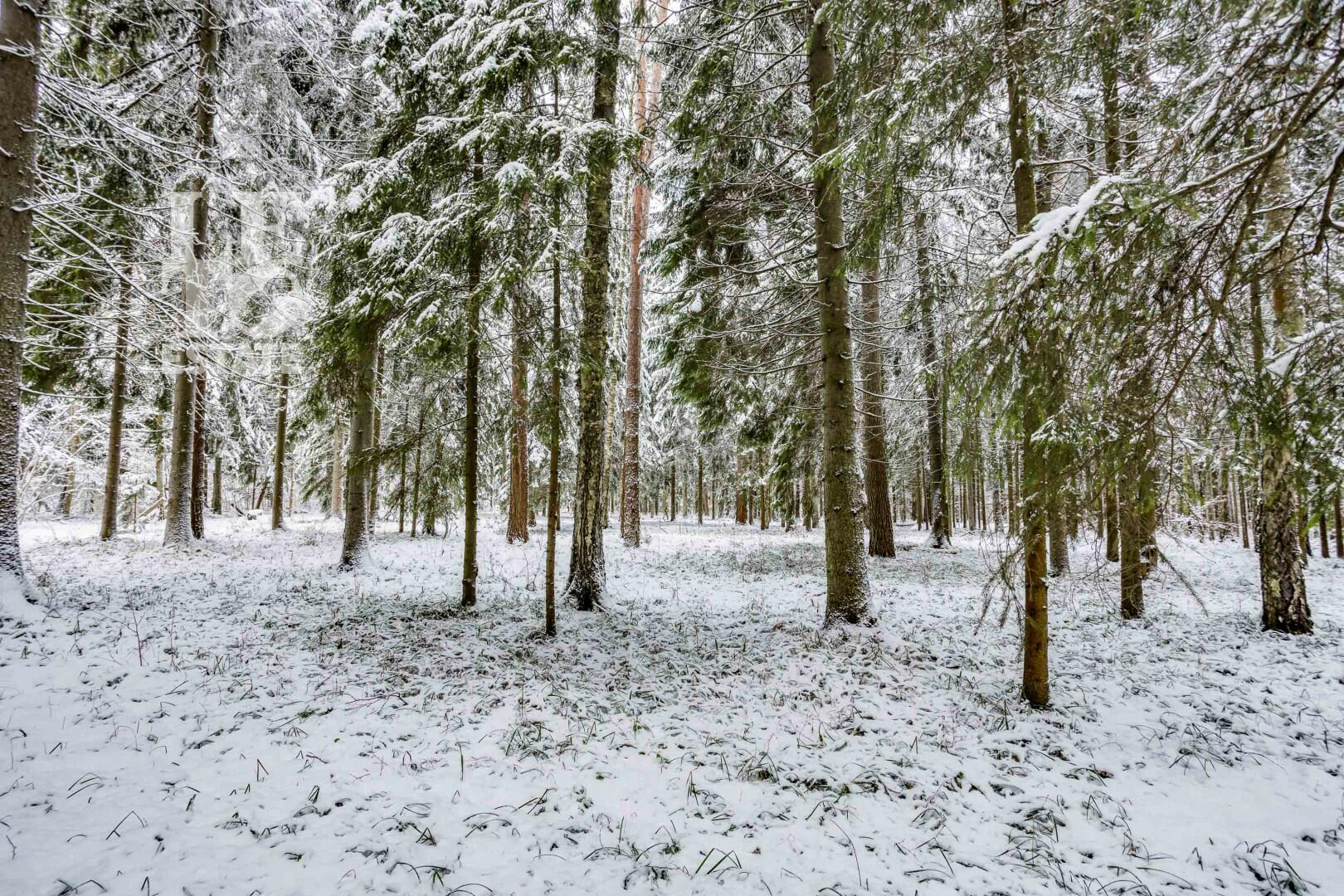 Участок 50 сот. в охраняемом поселке