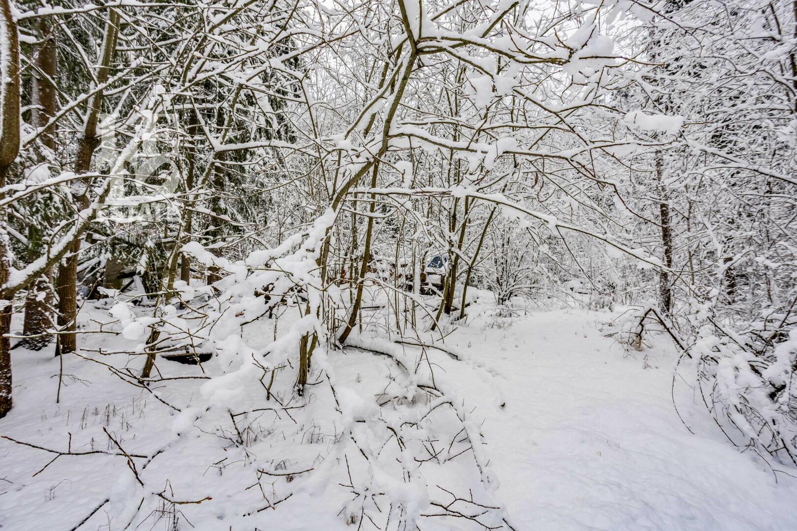 Участок 50 сот. в охраняемом поселке