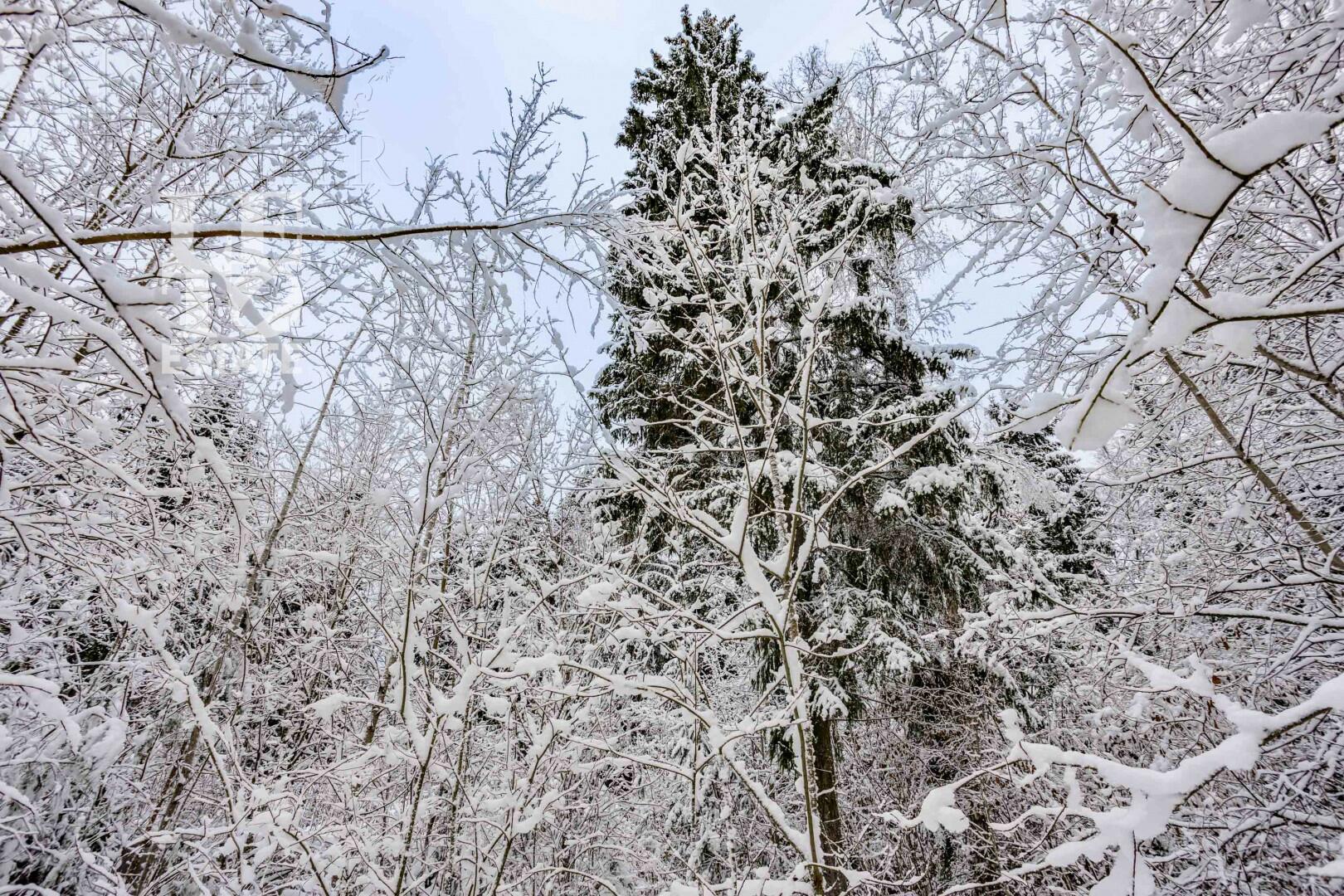Участок 50 сот. в охраняемом поселке