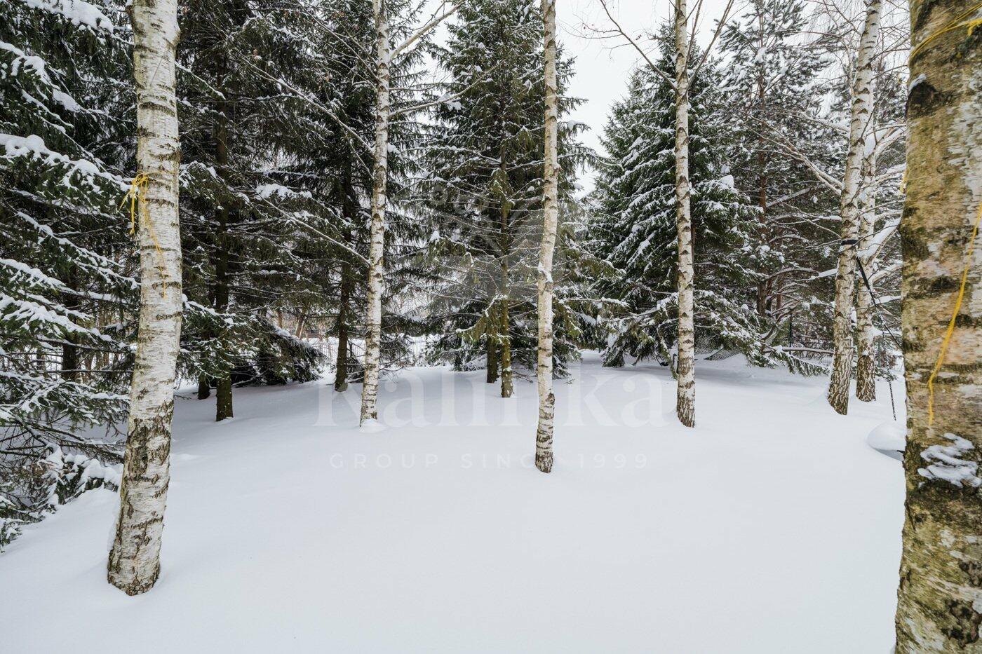 2-этажный коттедж 800 м² с отделкой