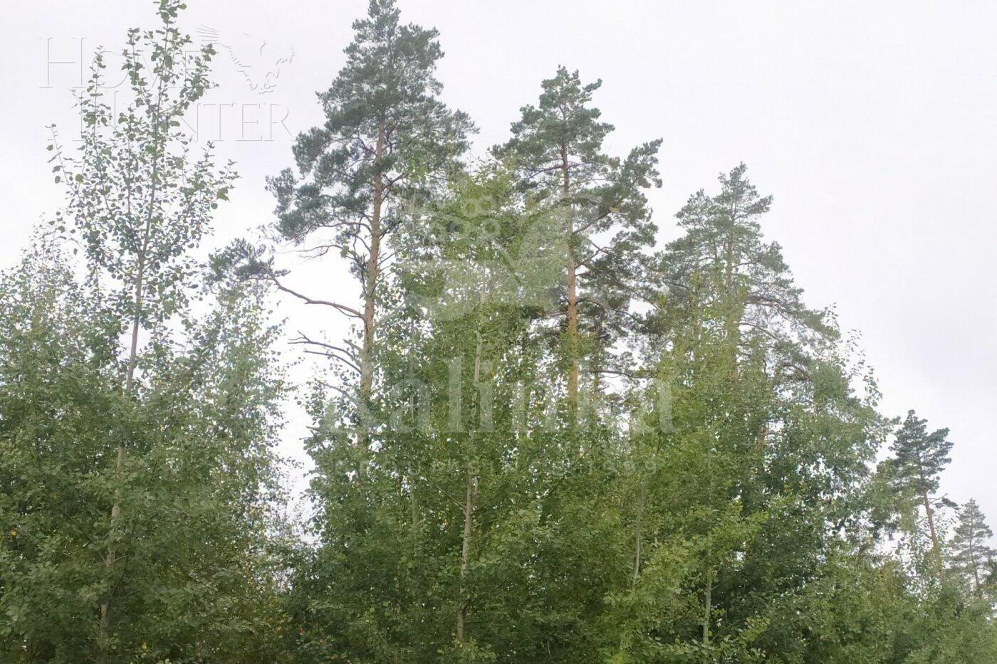 2-этажный коттедж 1 500 м² без отделки