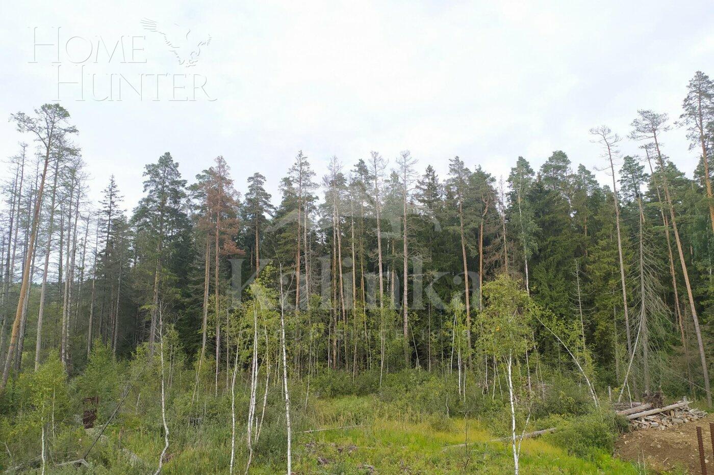 2-этажный коттедж 1 500 м² без отделки