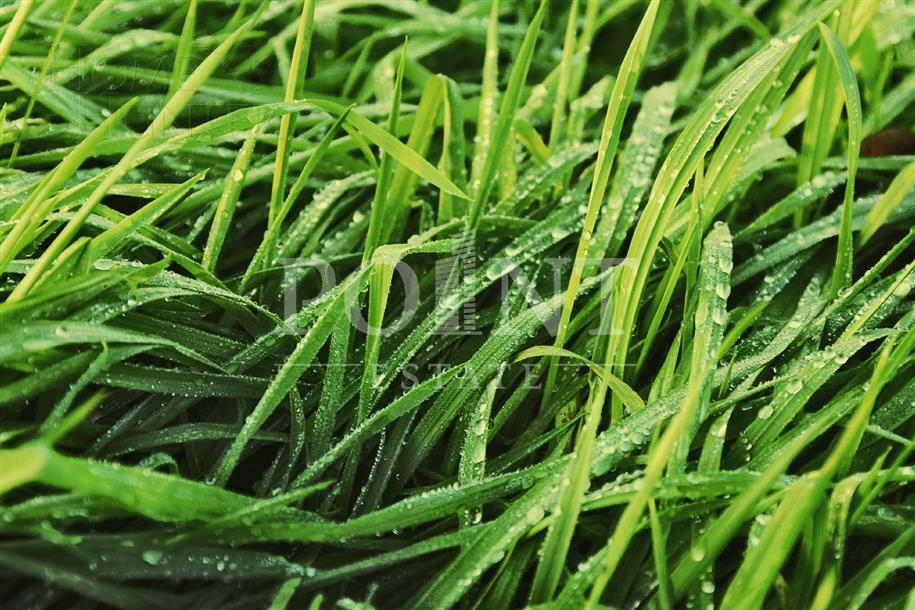 Участок 23 сот.