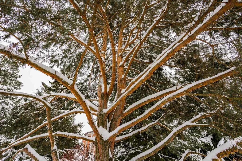 2-этажный коттедж 825 м² без отделки