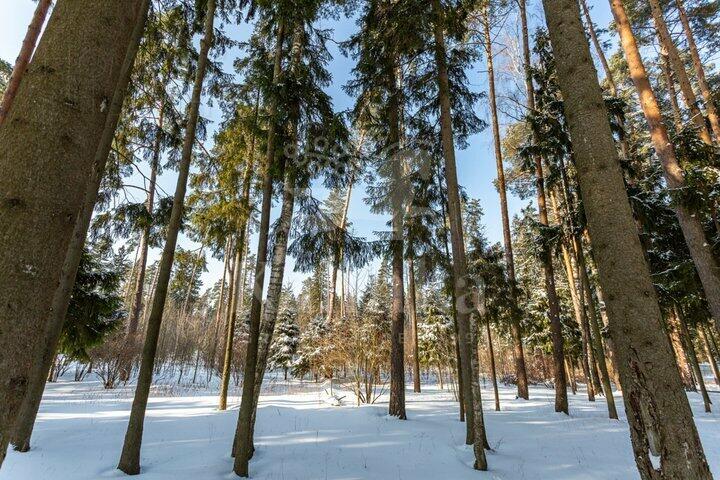 Участок 200 сот. в охраняемом поселке