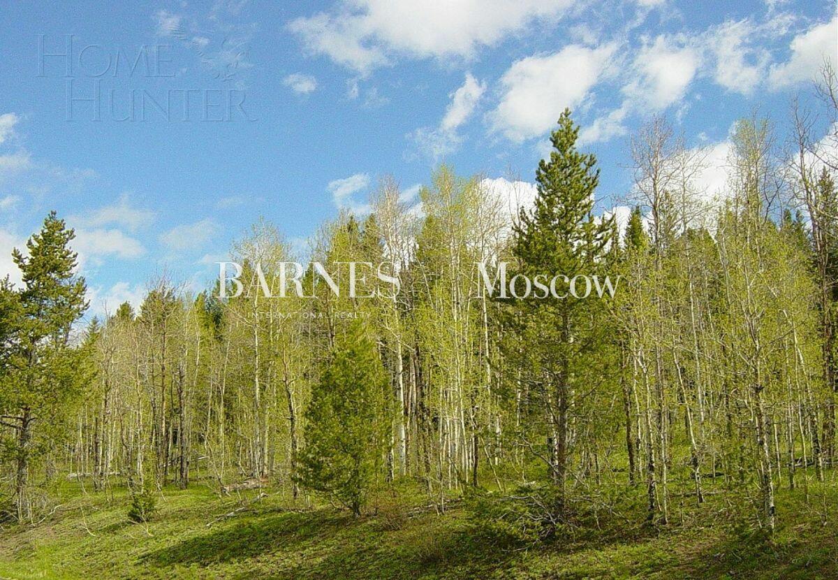 Участок 14.51 сот.