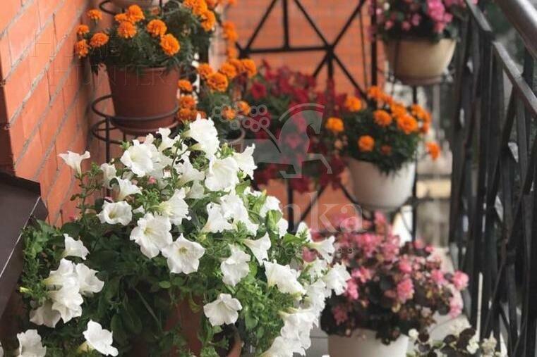 3-КОМН. КВАРТИРА С ОТДЕЛКОЙ 113 М² НА 7 ЭТАЖЕ