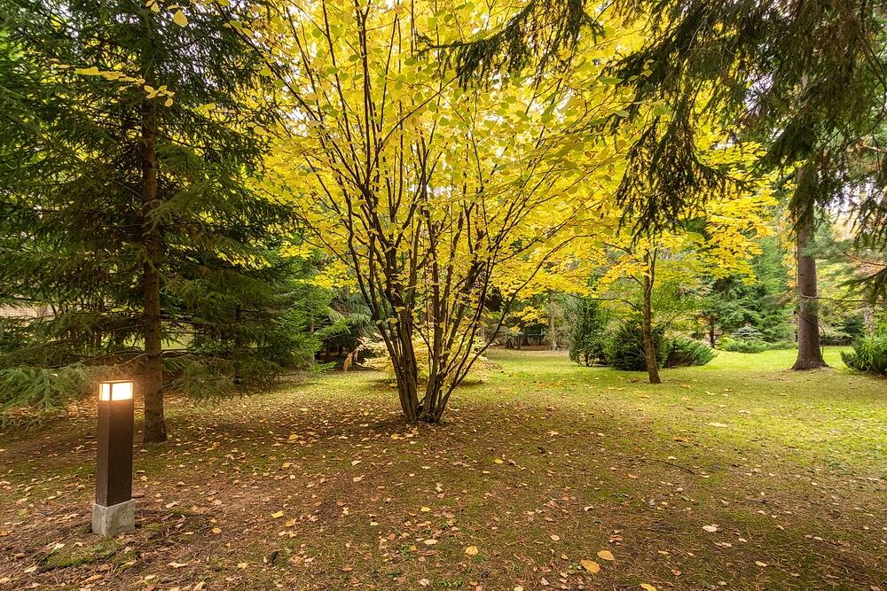 2-этажный коттедж 900 м² с отделкой