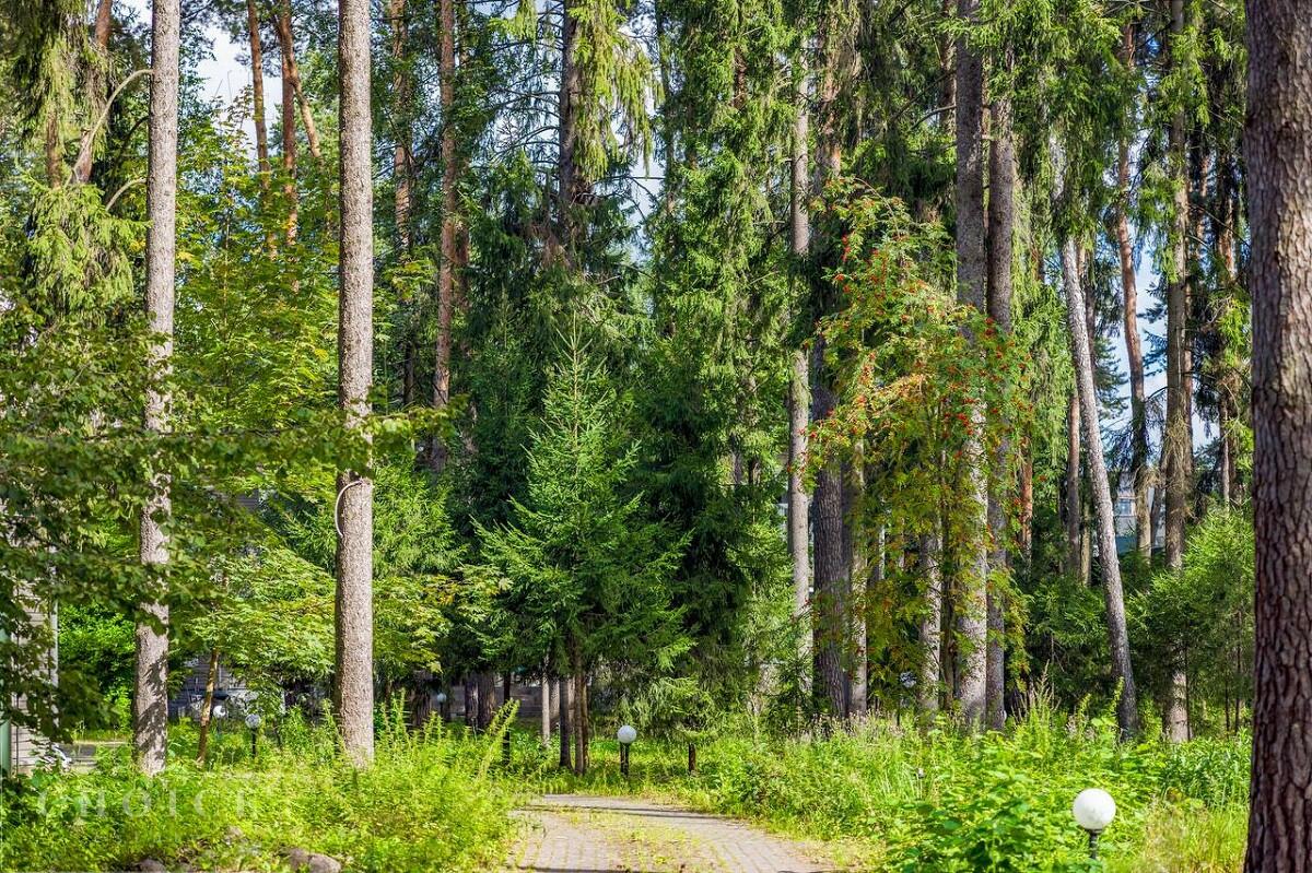 2-этажный коттедж 587 м² с отделкой