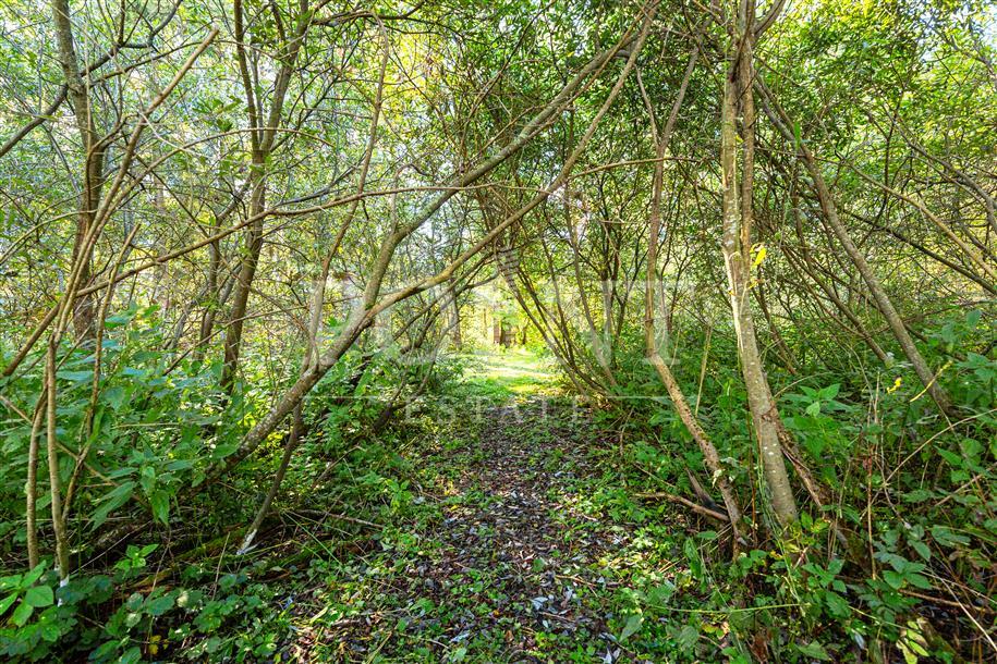 Участок 100 сот.