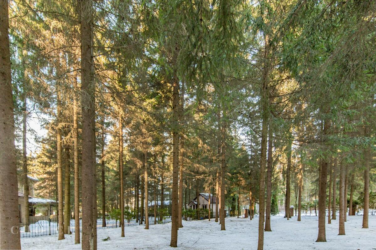 2-этажный коттедж 450 м² с отделкой