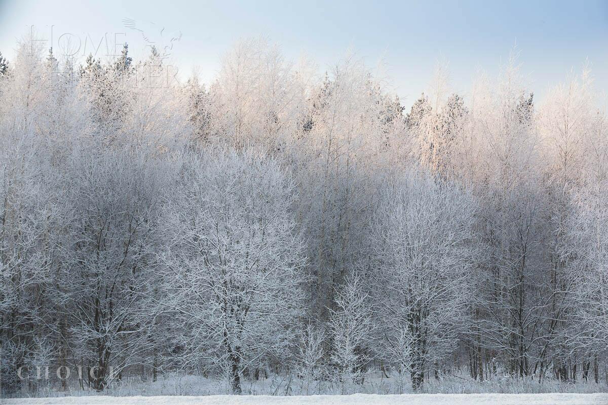 Участок 24.5 сот. в охраняемом поселке