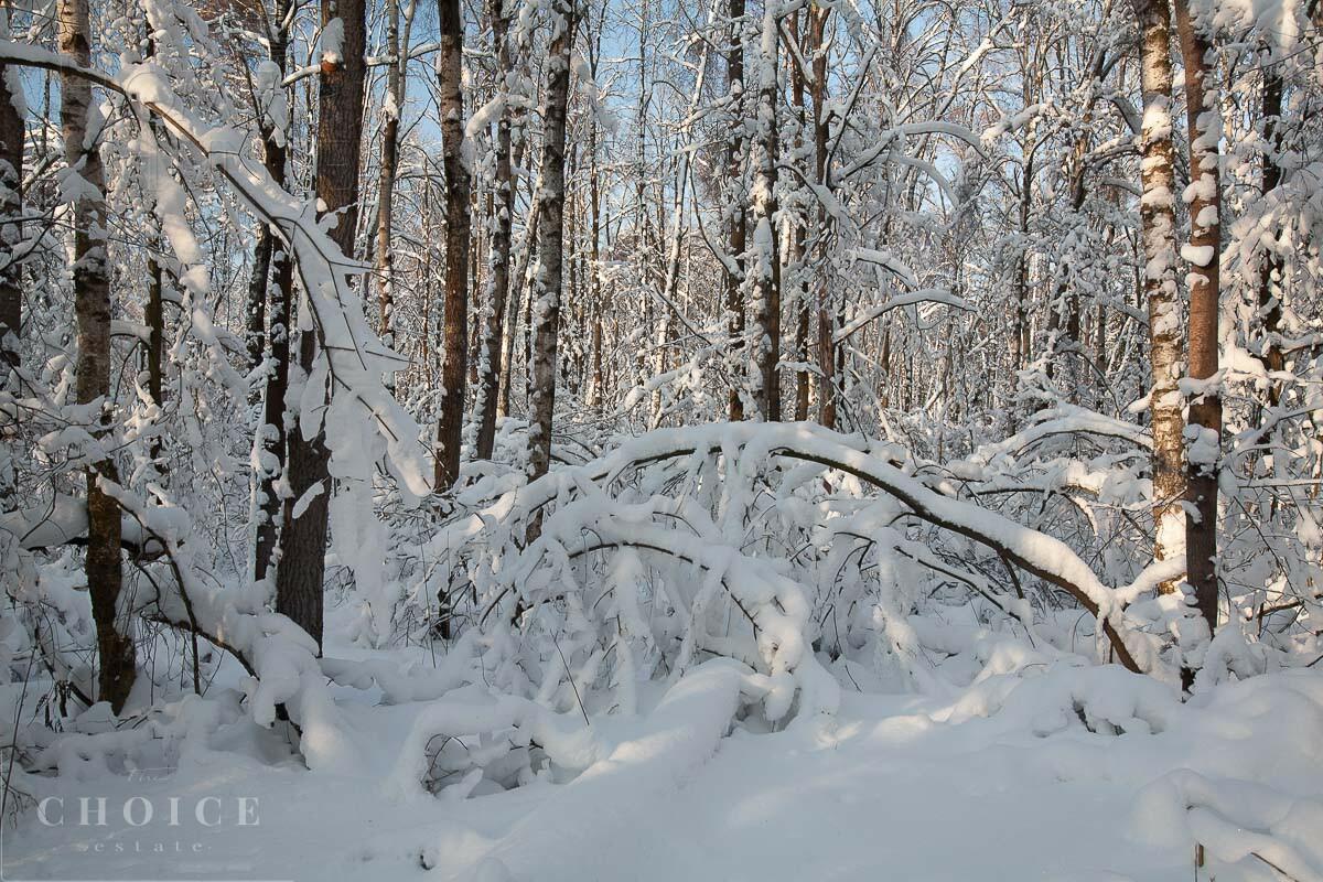 Участок 24.5 сот. в охраняемом поселке