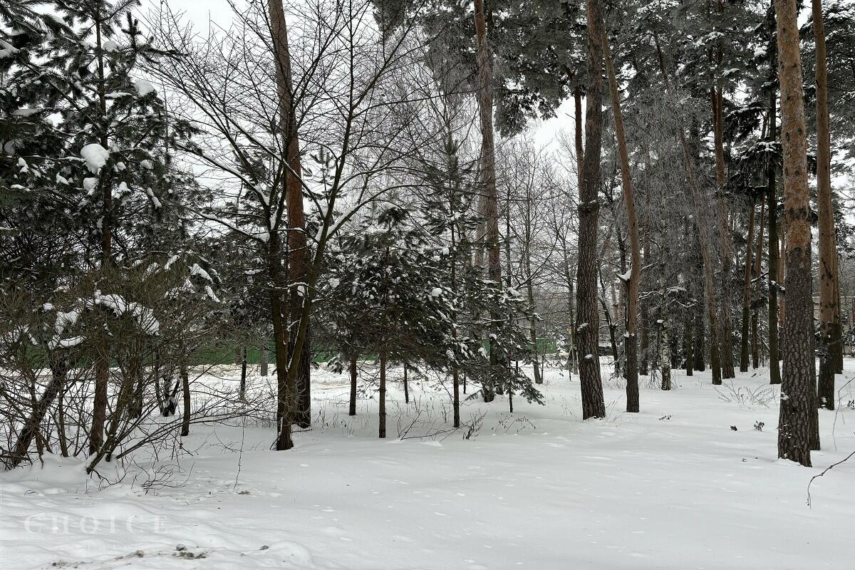 Участок 11.17 сот.