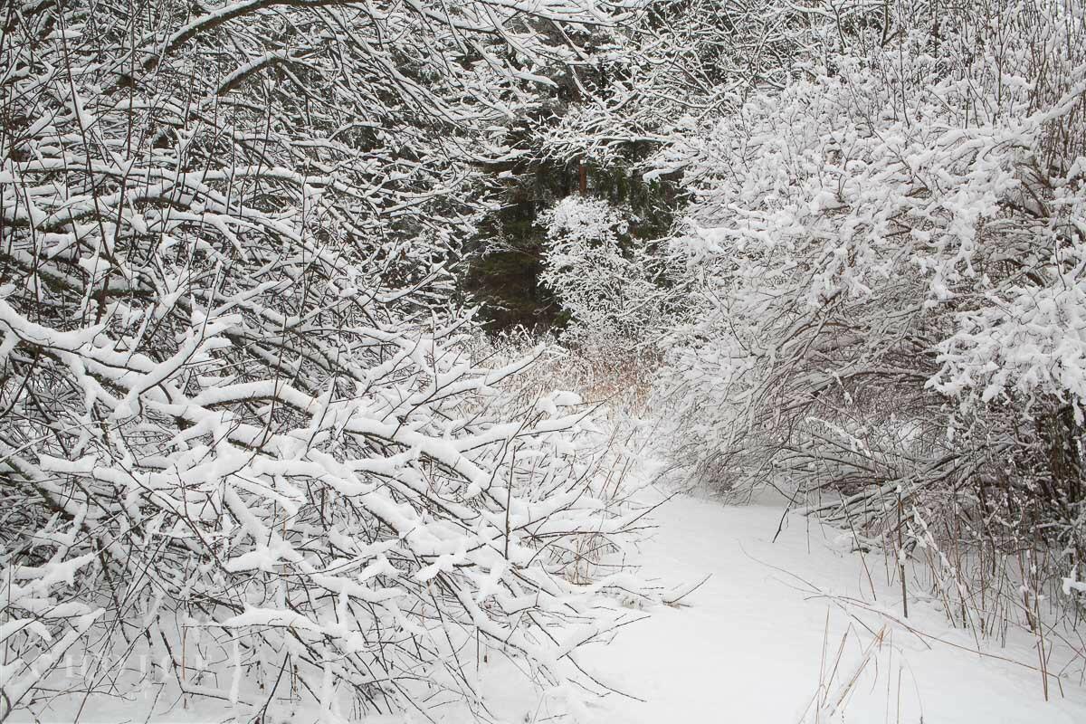 Участок 32.16 сот.