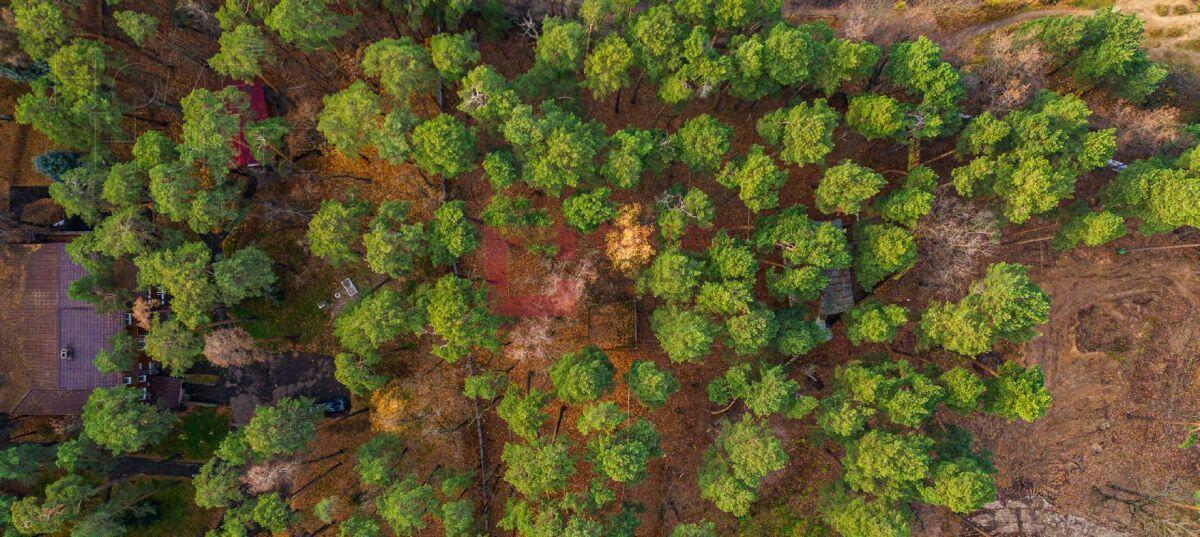 Участок 32.62 сот.