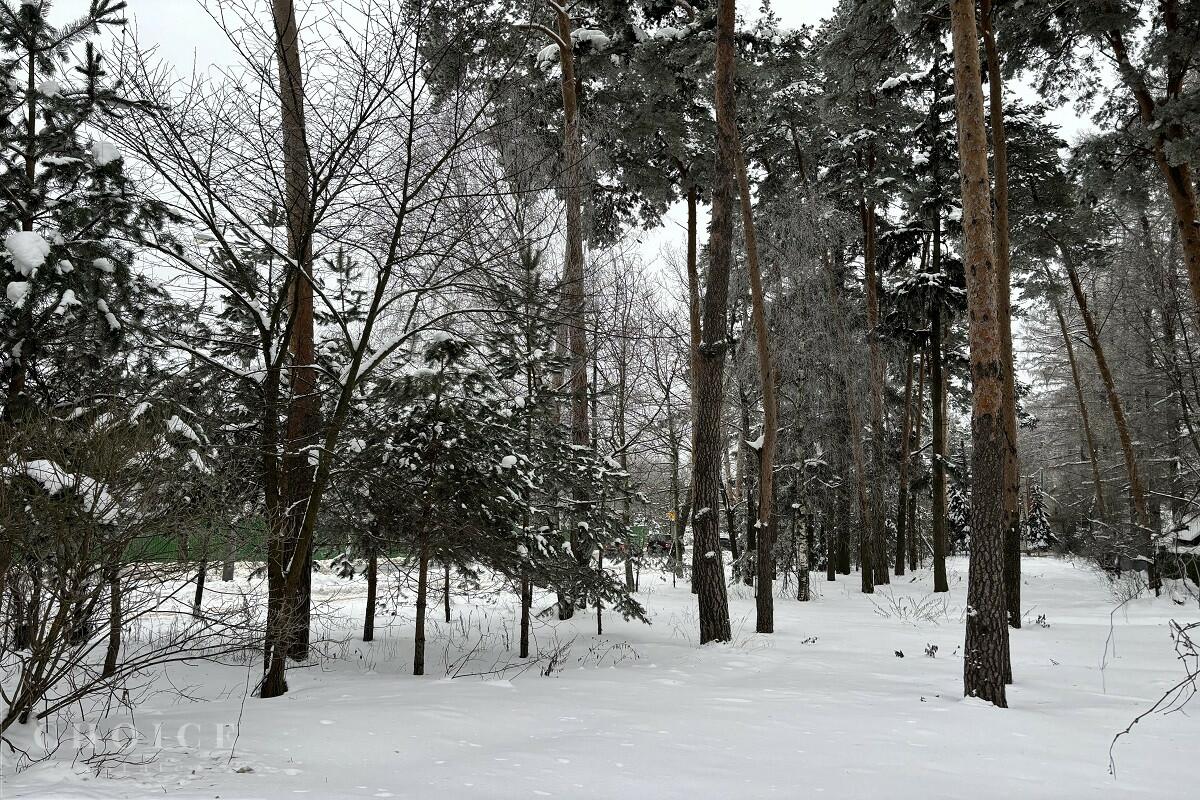 Участок 11.17 сот.