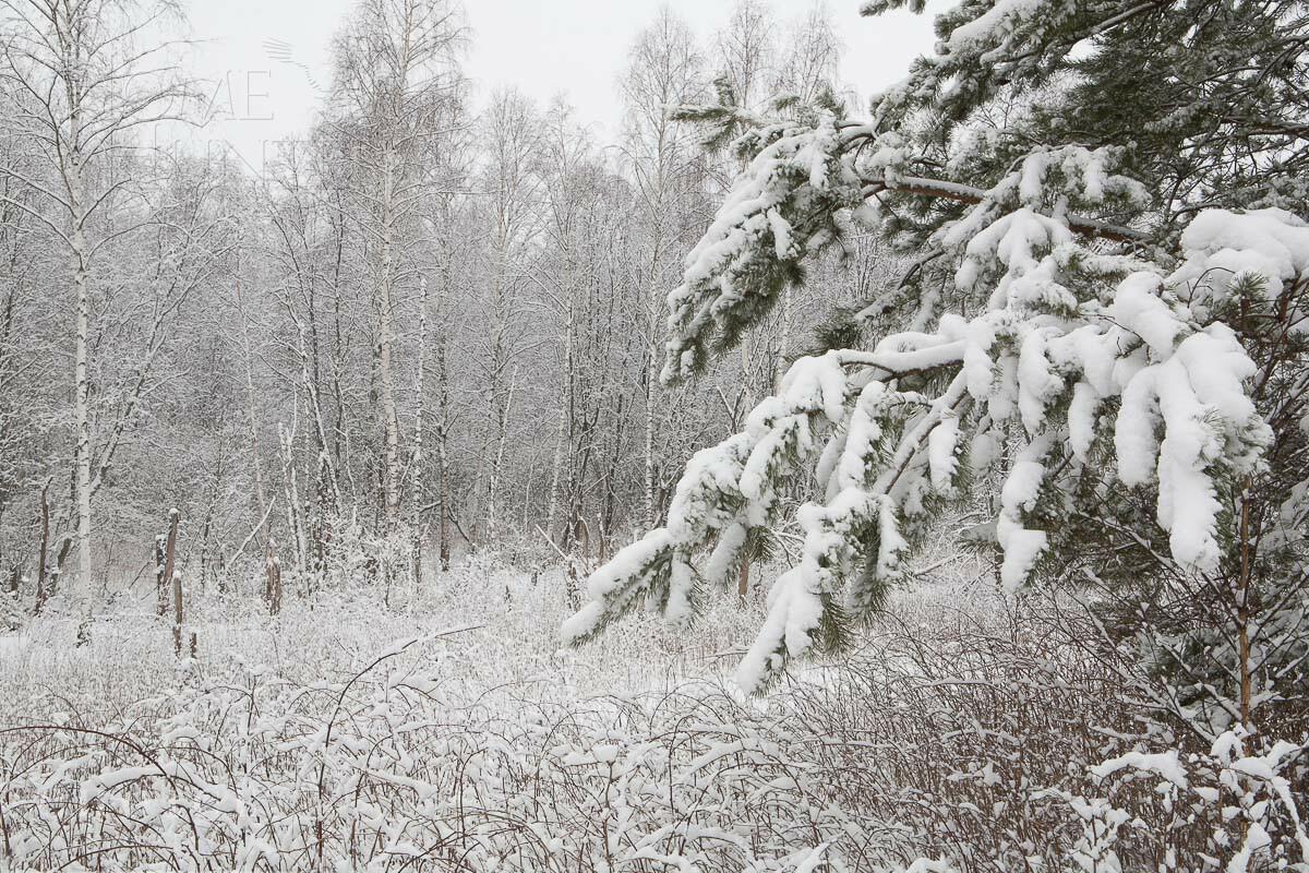 Участок 32.16 сот.