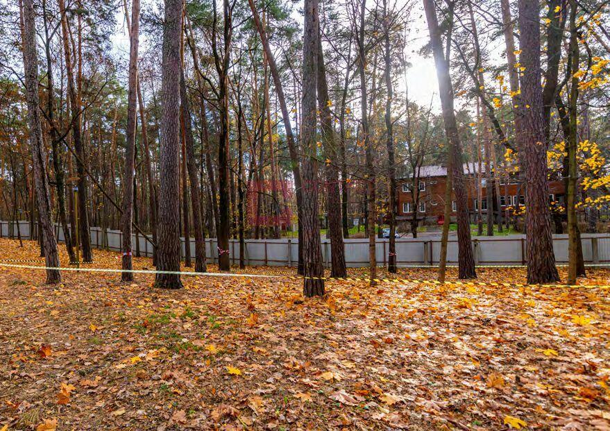 Участок 32.62 сот.