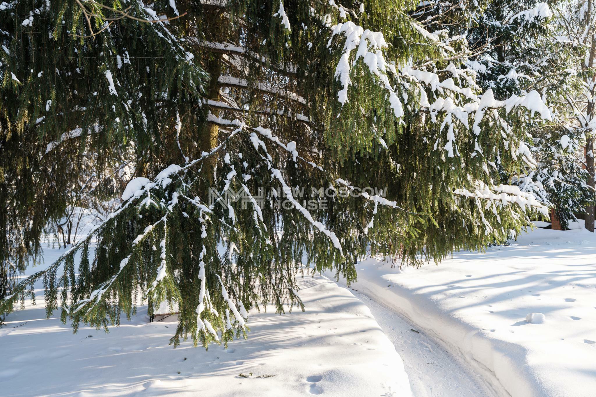 Участок 15 сот.