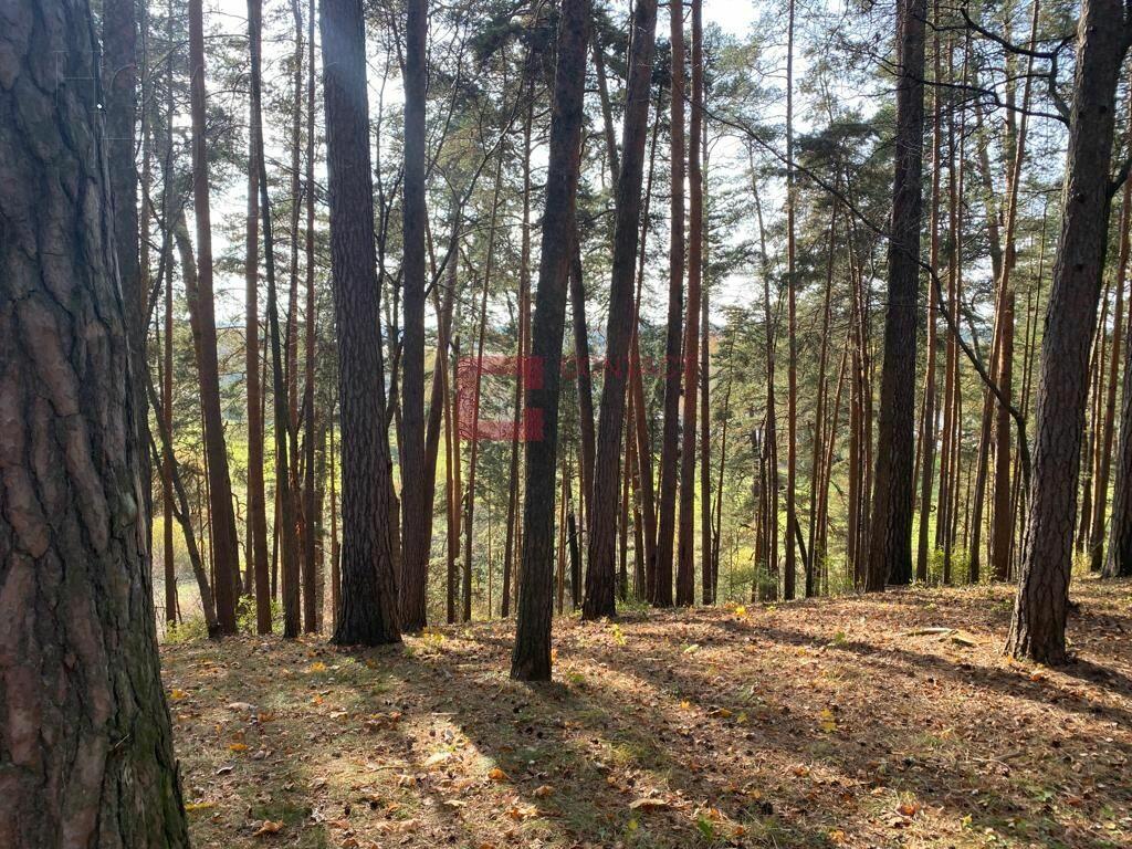 Участок 40 сот. в охраняемом поселке