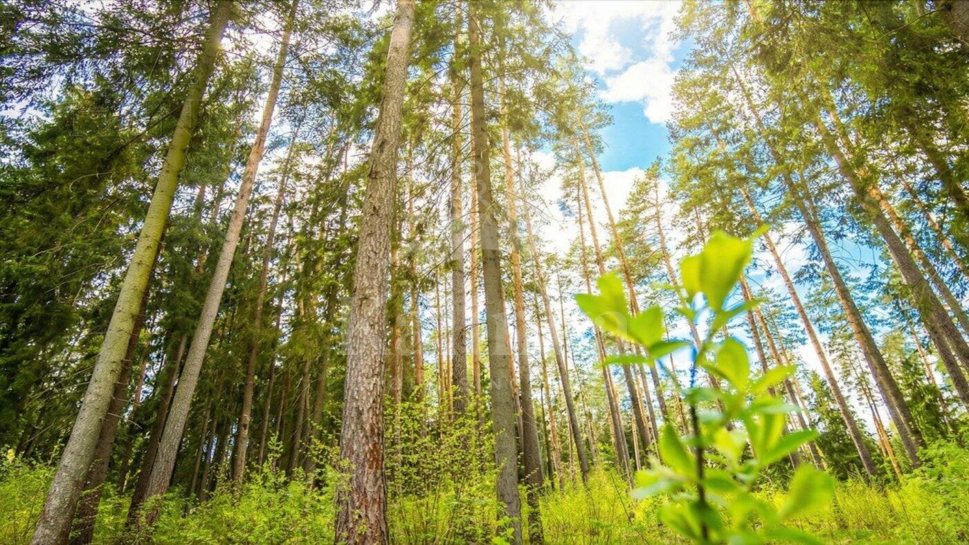 Участок 64 сот. в охраняемом поселке