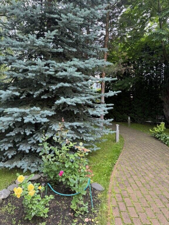 2-этажный коттедж 1 510 м² с отделкой