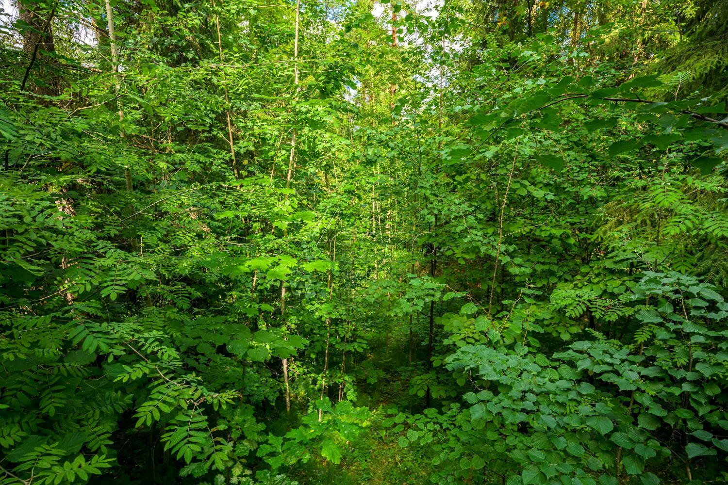 Участок 35 сот. в охраняемом поселке