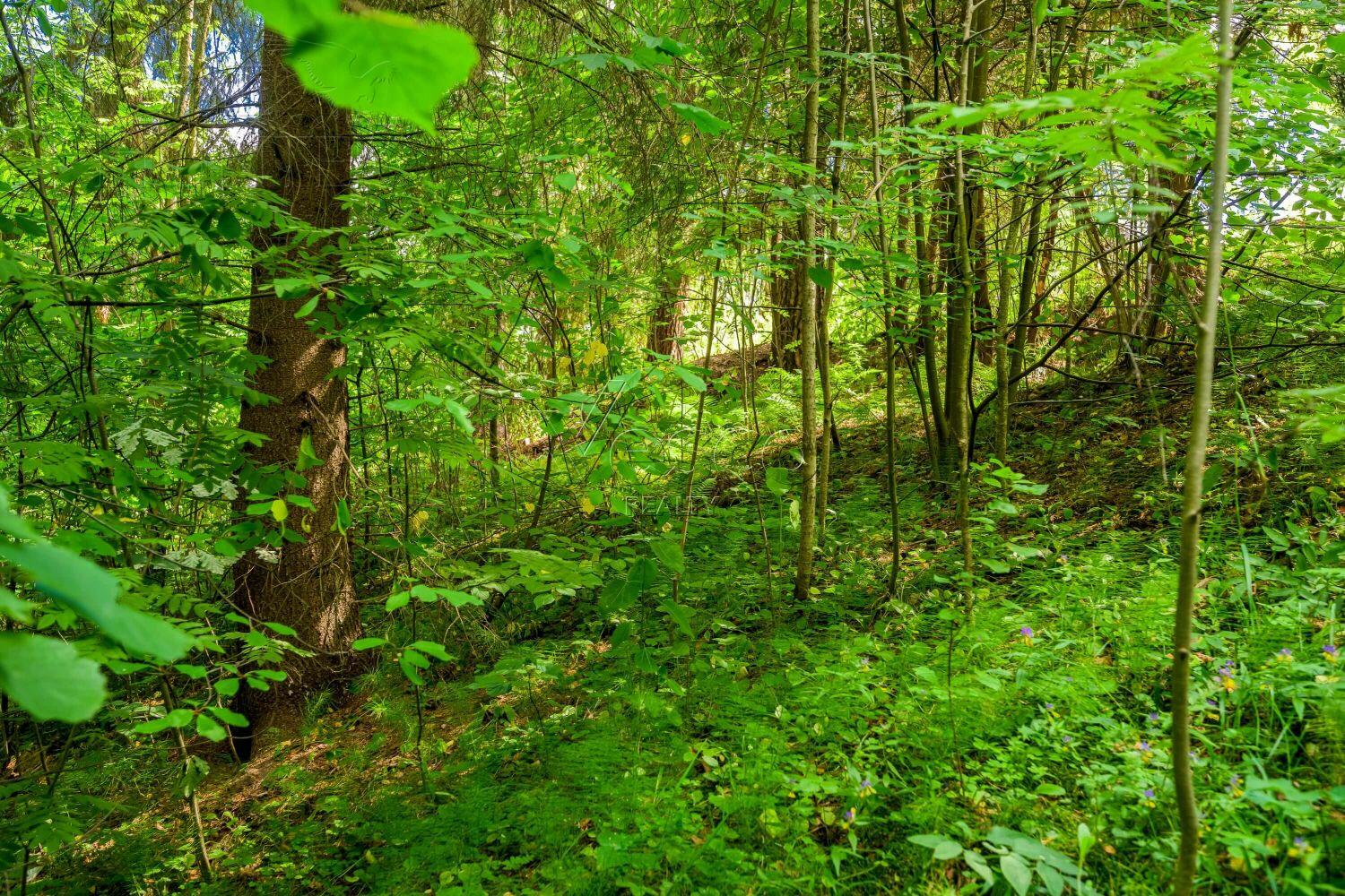 Участок 35 сот. в охраняемом поселке