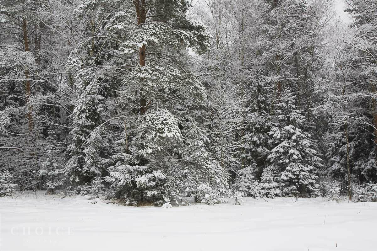 Участок 83 сот. в охраняемом поселке