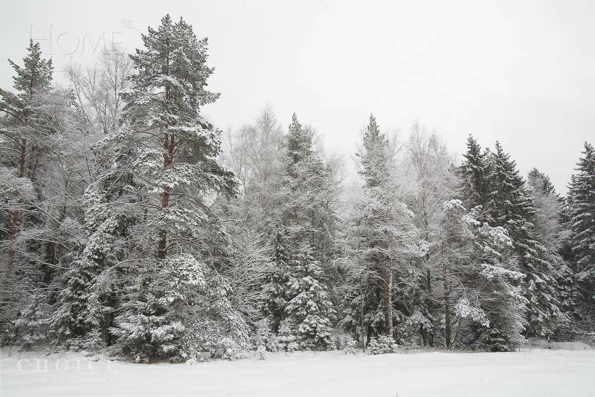 Участок 19 сот. в охраняемом поселке