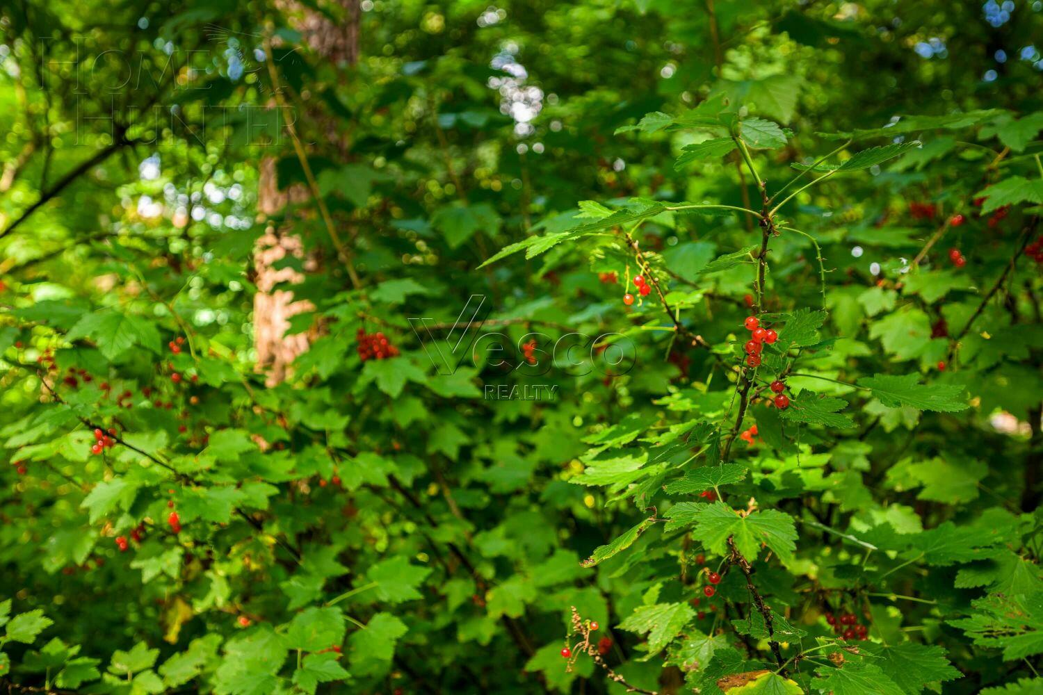 Участок 35 сот. в охраняемом поселке