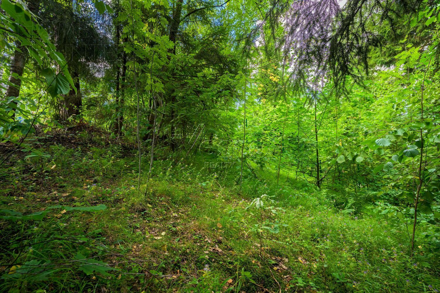 Участок 35 сот. в охраняемом поселке