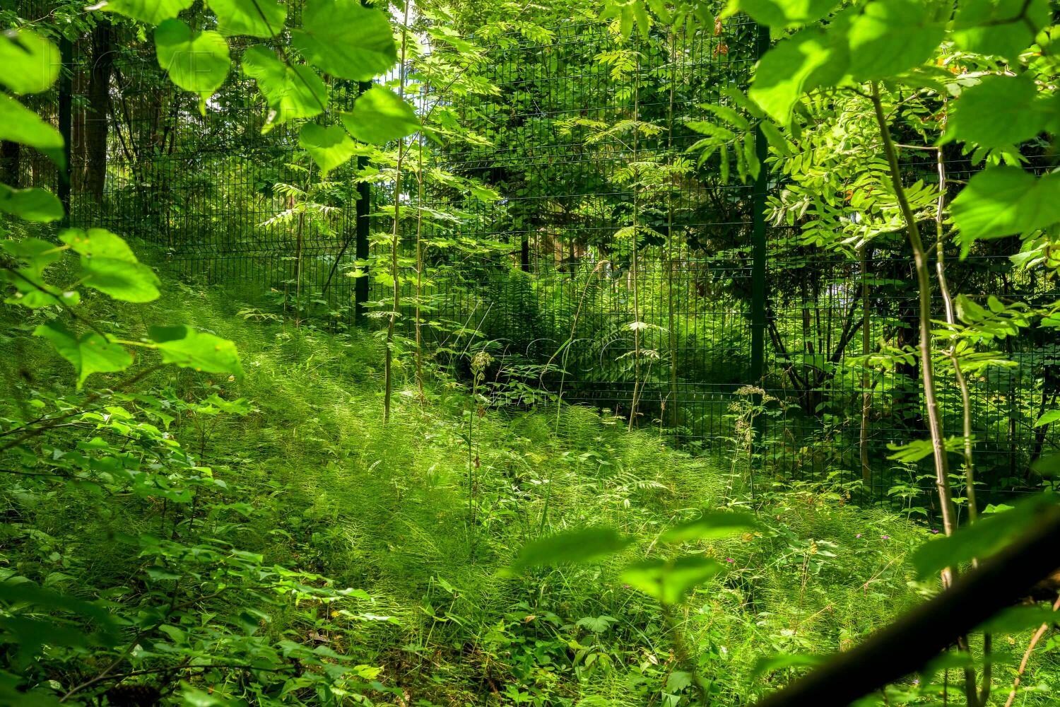 Участок 35 сот. в охраняемом поселке