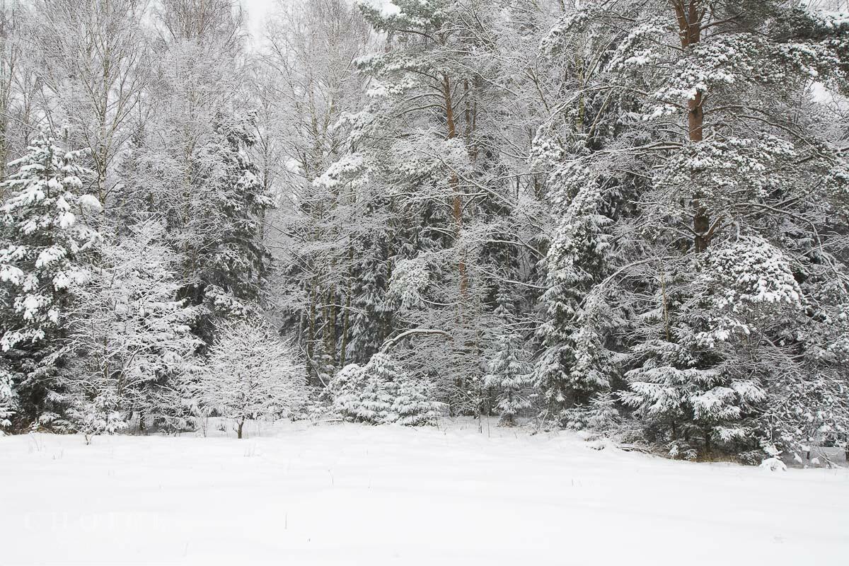 Участок 29 сот. в охраняемом поселке