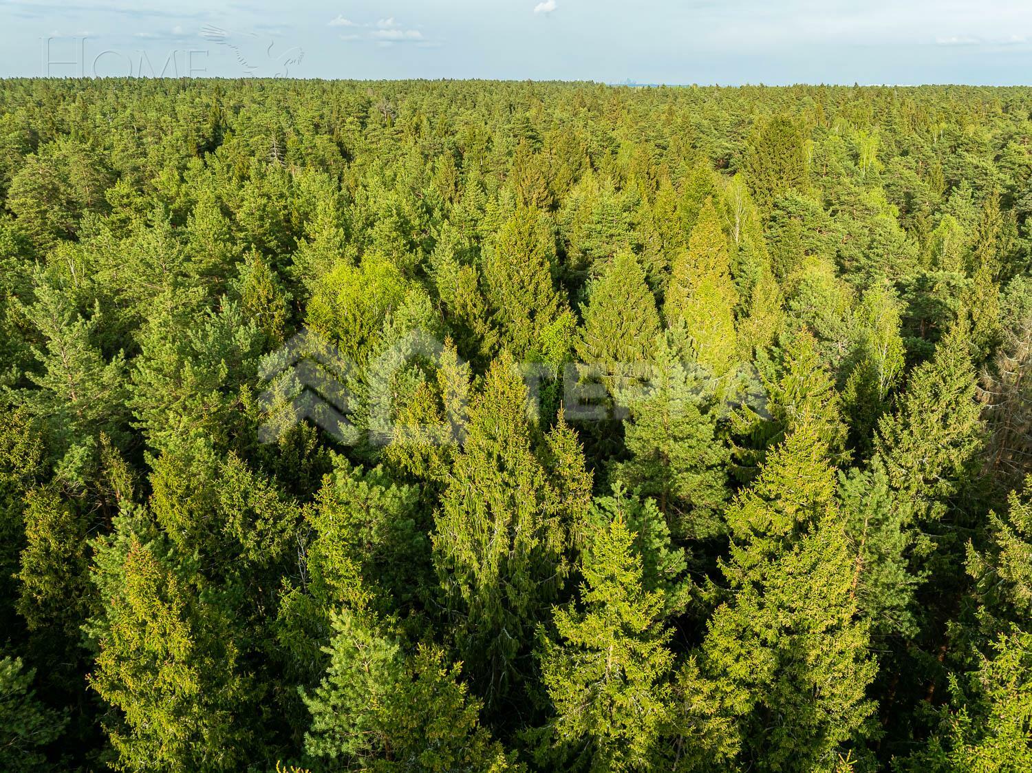 Участок 105 сот. в охраняемом поселке