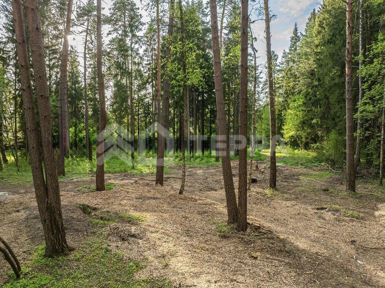 Участок 105 сот. в охраняемом поселке