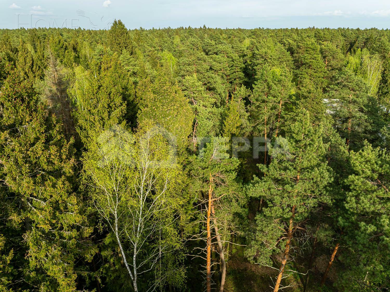 Участок 105 сот. в охраняемом поселке