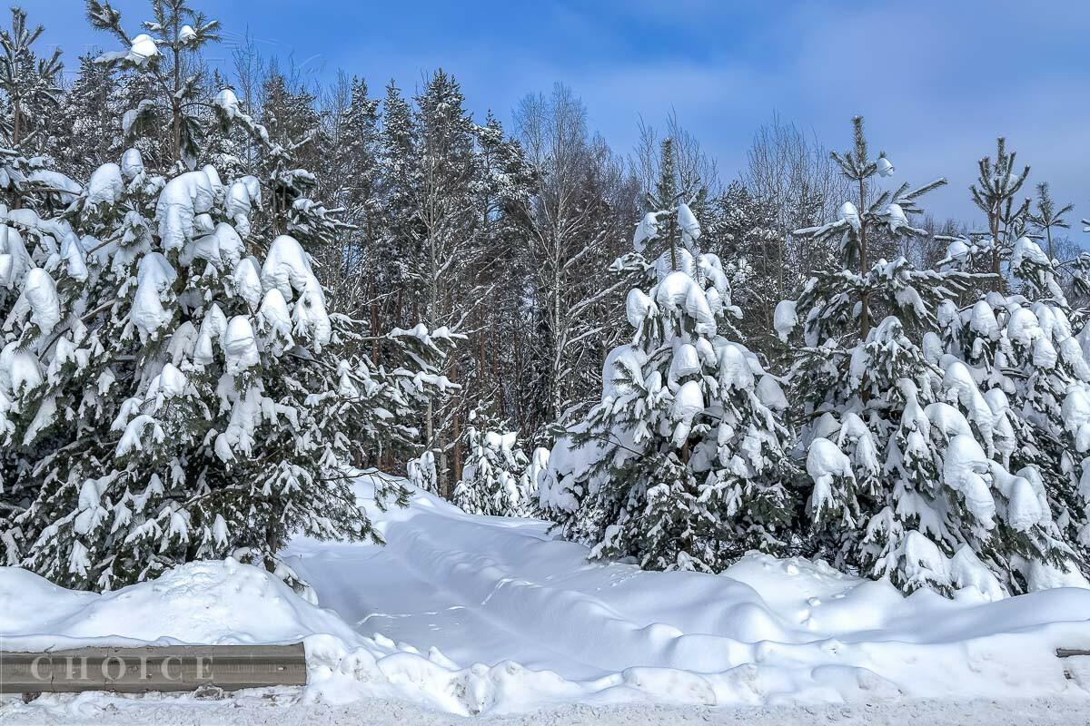 Участок 19.71 сот. в охраняемом поселке