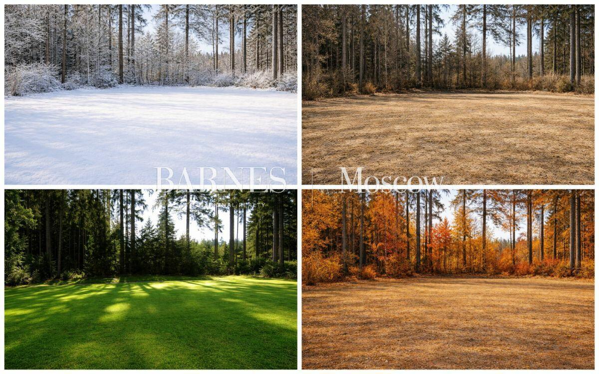 Участок 45 сот.