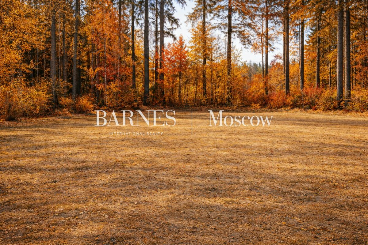 Участок 45 сот.