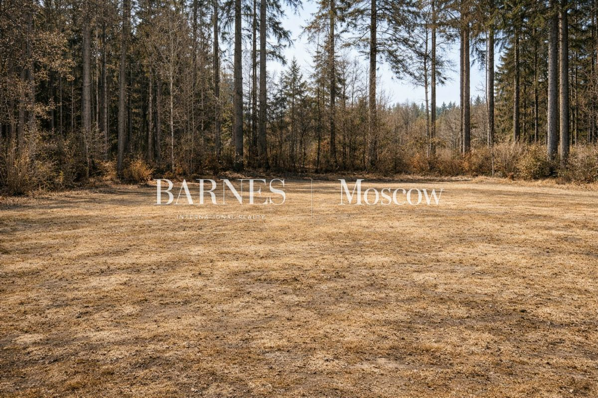 Участок 45 сот.