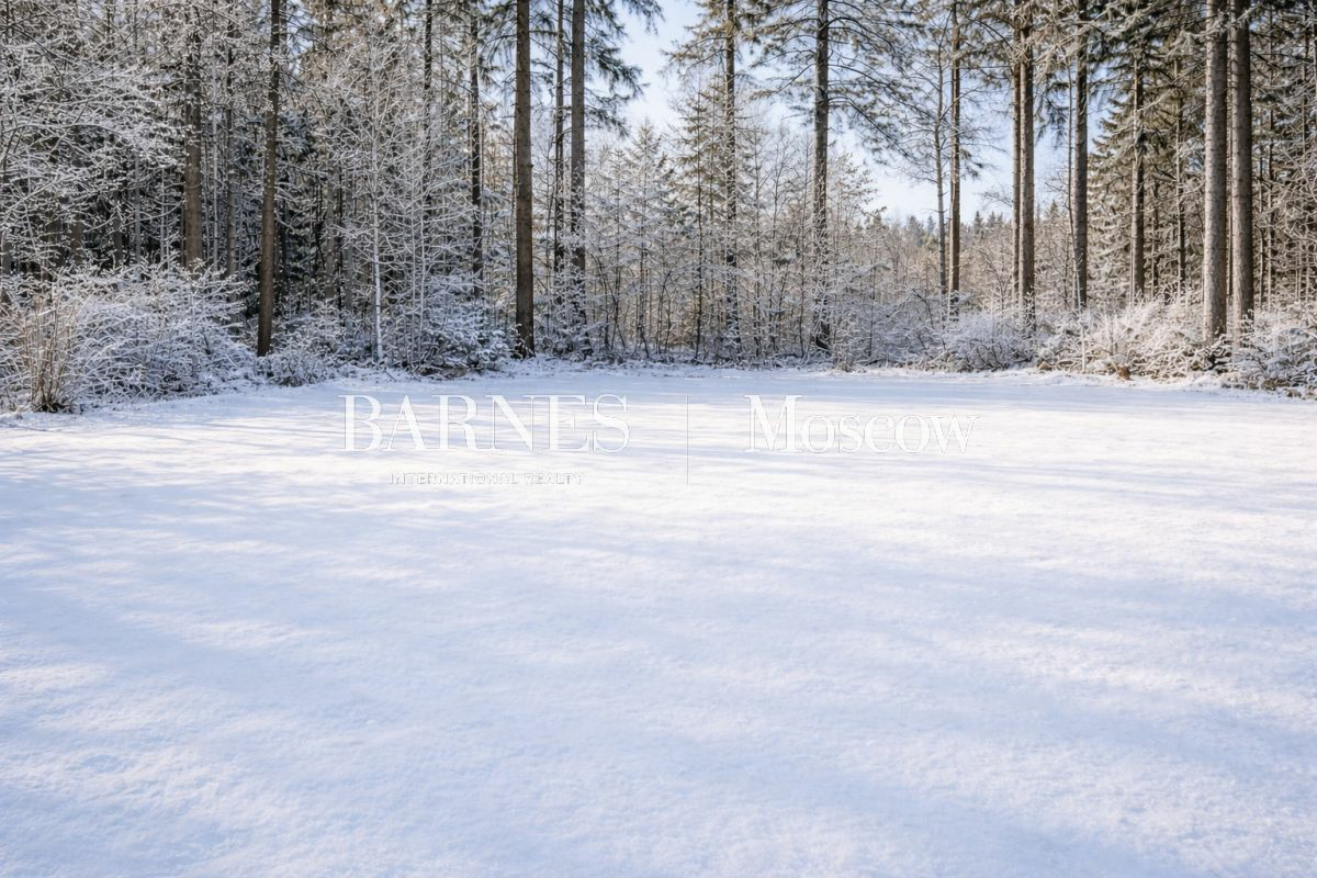 Участок 45 сот.