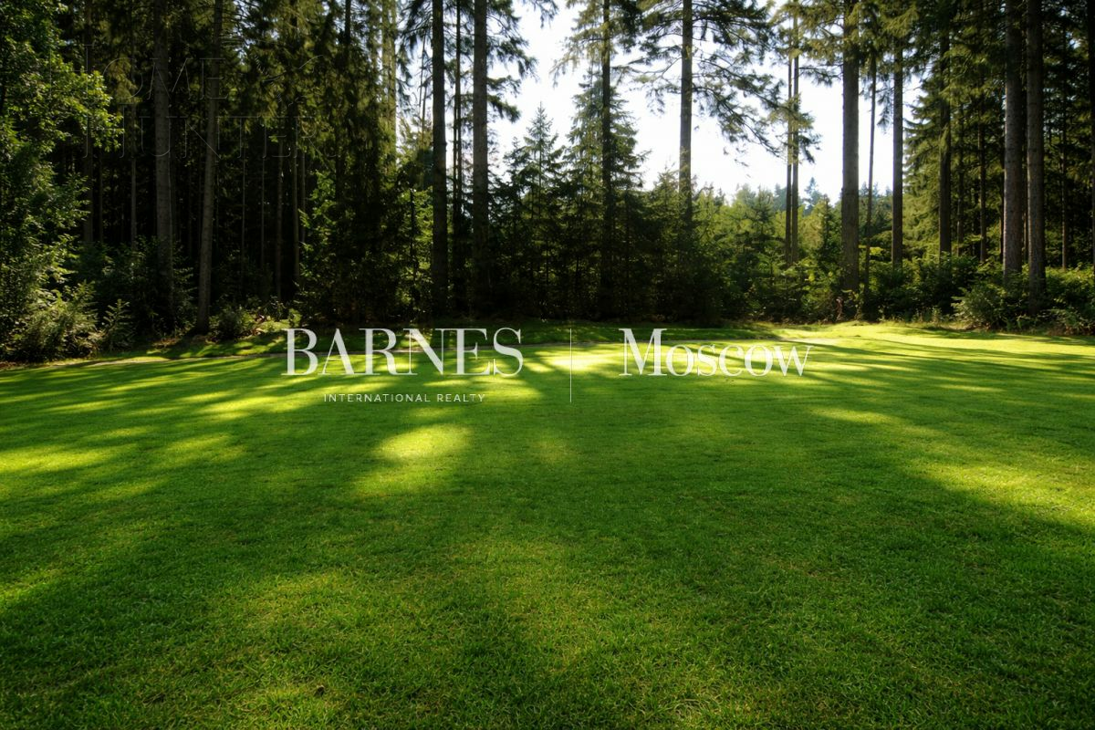 Участок 45 сот.