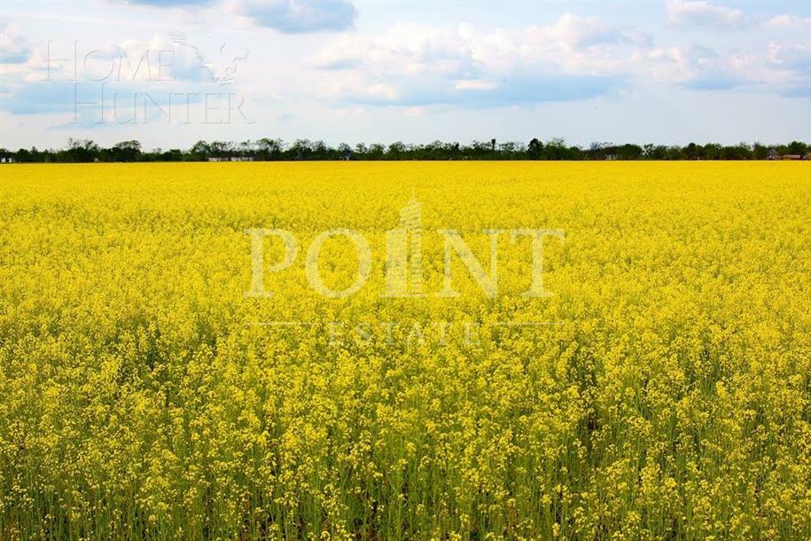 Участок 13.59 сот.