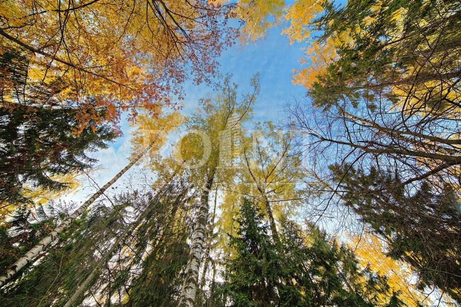 Участок 37.5 сот. в охраняемом поселке